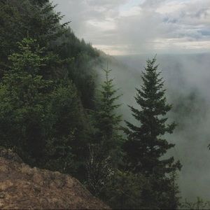 Meet your Posher, Gillian